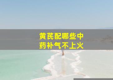 黄芪配哪些中药补气不上火