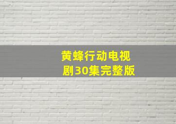 黄蜂行动电视剧30集完整版