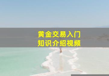 黄金交易入门知识介绍视频