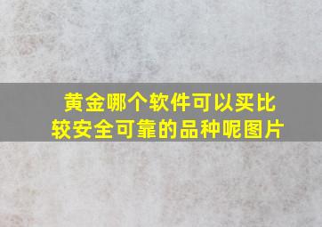 黄金哪个软件可以买比较安全可靠的品种呢图片