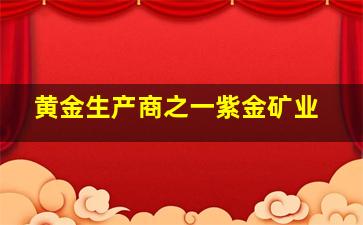 黄金生产商之一紫金矿业