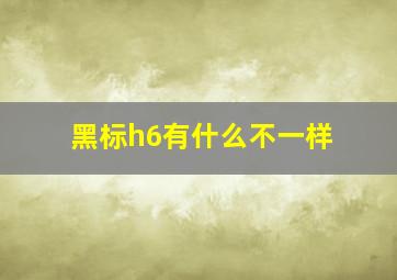 黑标h6有什么不一样