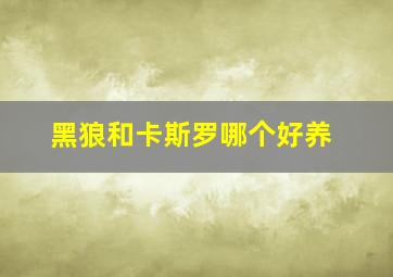 黑狼和卡斯罗哪个好养