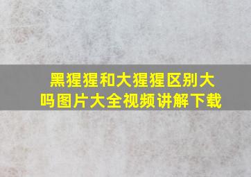 黑猩猩和大猩猩区别大吗图片大全视频讲解下载