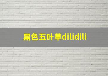 黑色五叶草dilidili