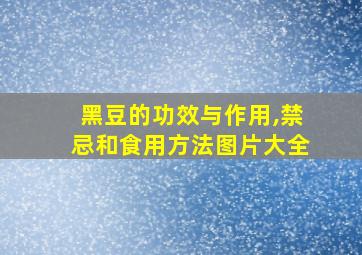 黑豆的功效与作用,禁忌和食用方法图片大全