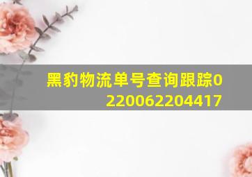 黑豹物流单号查询跟踪0220062204417