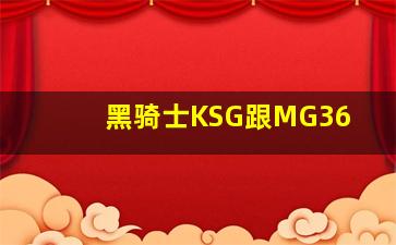 黑骑士KSG跟MG36