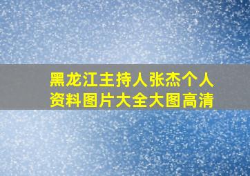 黑龙江主持人张杰个人资料图片大全大图高清