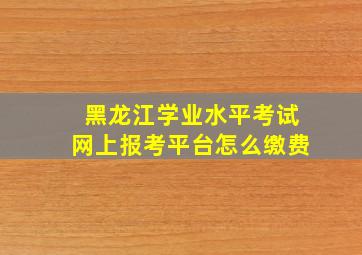 黑龙江学业水平考试网上报考平台怎么缴费