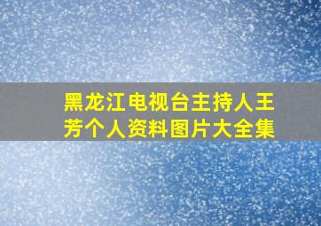 黑龙江电视台主持人王芳个人资料图片大全集