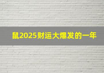 鼠2025财运大爆发的一年