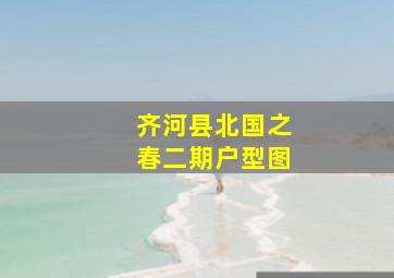 齐河县北国之春二期户型图