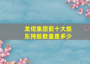 龙佰集团前十大股东持股数量是多少