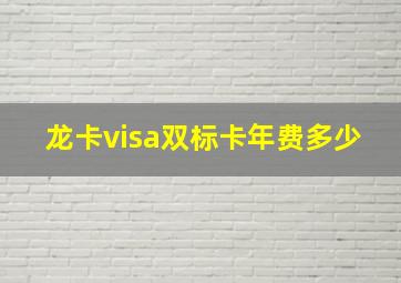 龙卡visa双标卡年费多少