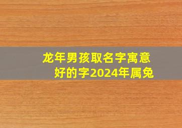 龙年男孩取名字寓意好的字2024年属兔