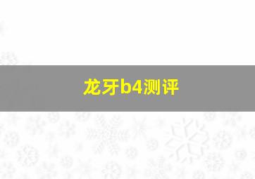 龙牙b4测评