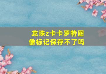 龙珠z卡卡罗特图像标记保存不了吗