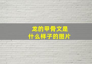 龙的甲骨文是什么样子的图片