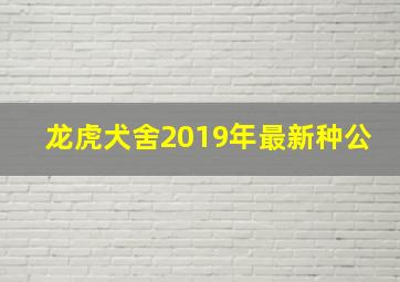 龙虎犬舍2019年最新种公