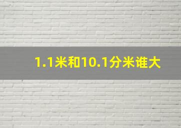 1.1米和10.1分米谁大