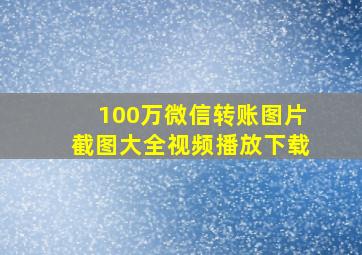 100万微信转账图片截图大全视频播放下载