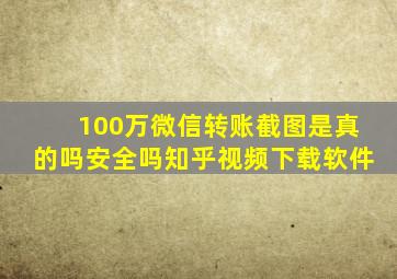 100万微信转账截图是真的吗安全吗知乎视频下载软件