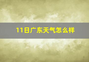 11日广东天气怎么样