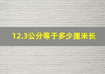 12.3公分等于多少厘米长