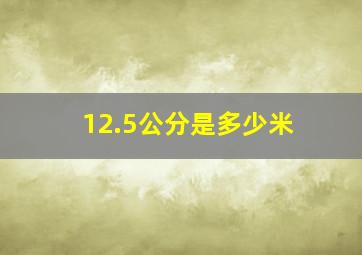 12.5公分是多少米