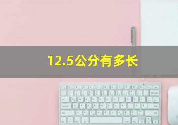 12.5公分有多长