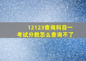 12123查询科目一考试分数怎么查询不了