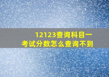 12123查询科目一考试分数怎么查询不到