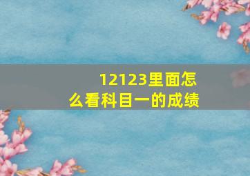 12123里面怎么看科目一的成绩