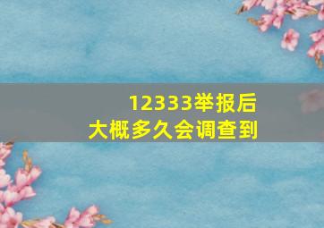 12333举报后大概多久会调查到