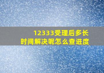 12333受理后多长时间解决呢怎么查进度