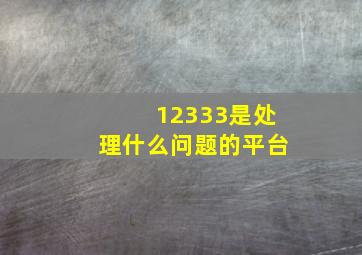 12333是处理什么问题的平台