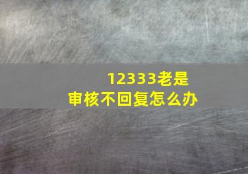 12333老是审核不回复怎么办