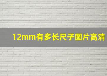 12mm有多长尺子图片高清