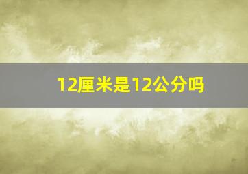 12厘米是12公分吗