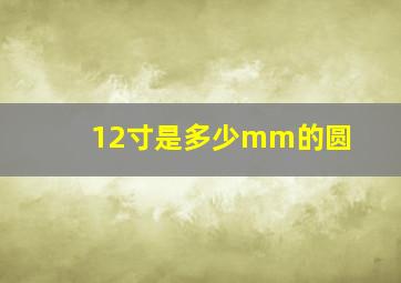 12寸是多少mm的圆