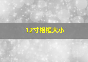 12寸相框大小