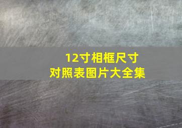 12寸相框尺寸对照表图片大全集