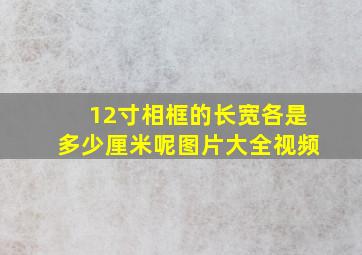 12寸相框的长宽各是多少厘米呢图片大全视频