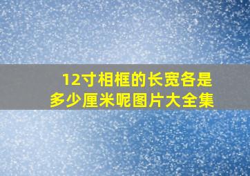 12寸相框的长宽各是多少厘米呢图片大全集