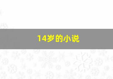 14岁的小说