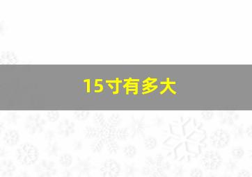 15寸有多大