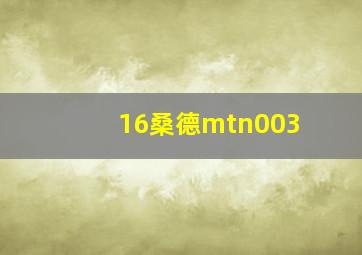 16桑德mtn003