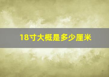 18寸大概是多少厘米