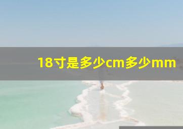 18寸是多少cm多少mm